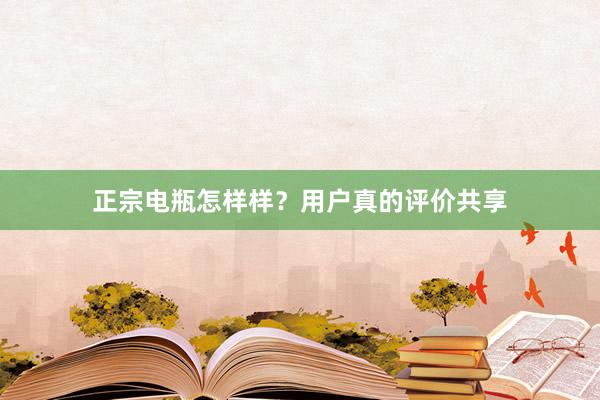 正宗电瓶怎样样？用户真的评价共享